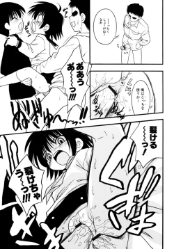 Page 51 of Meconopsis