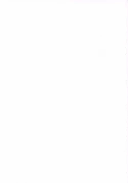 Page 33 of Poyopacho Storm