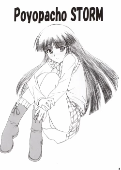 Page 4 of Poyopacho Storm