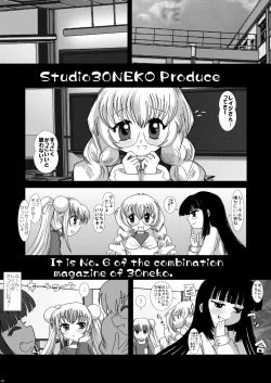 Page 2 of NEKOLABO 2