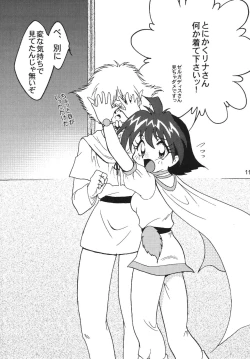 Page 11 of SLAYERS ADULT 9