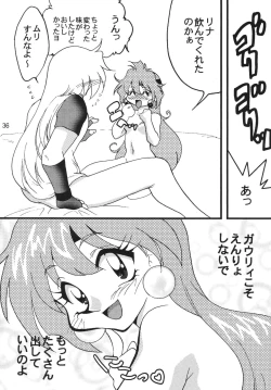 Page 36 of SLAYERS ADULT 9