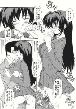 Page 28 of Chikan Otoko Soushuuhen