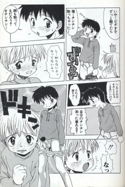 Page 13 of Shota Missile