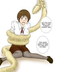 Page 22 of P045-02 Vanis Report