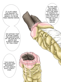 Page 35 of P045-02 Vanis Report