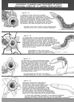 Page 5 of P045-02 Vanis Report