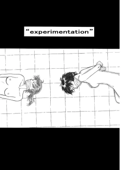 Page 6 of P045-02 Vanis Report