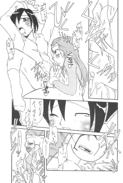 Page 23 of Gladiolas