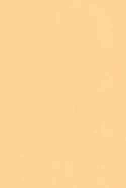 Page 37 of Hinnyuu Musume 19