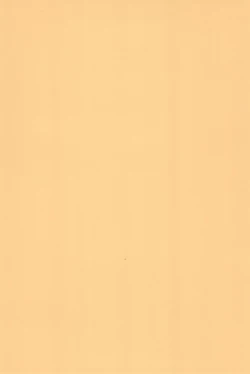 Page 38 of Hinnyuu Musume 19