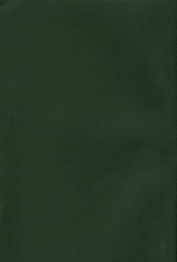 Page 22 of Honey on the Pancake