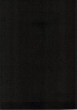 Page 4 of Toraware Silva