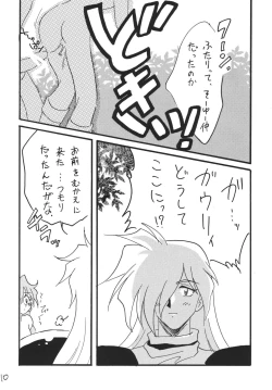 Page 10 of SLAYERS ADULT 13