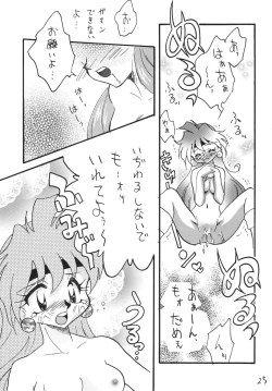 Page 25 of SLAYERS ADULT 13