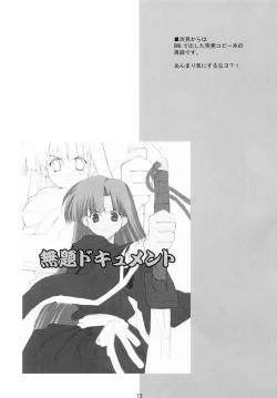 Page 12 of Nekomimi Sou de Hoppe ni CHU!