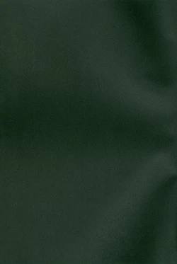 Page 2 of Maria Holic