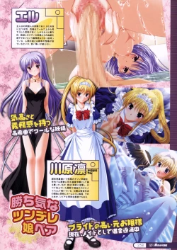 Page 256 of COMIC Megastore 2006-04