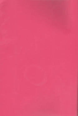 Page 2 of Suki katte!