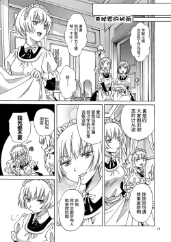 Page 18 of Chiisana Maid-san no Himitsu