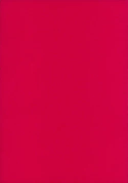 Page 48 of THE ATHENA & FRIENDS 2006