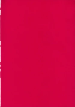 Page 49 of THE ATHENA & FRIENDS 2006