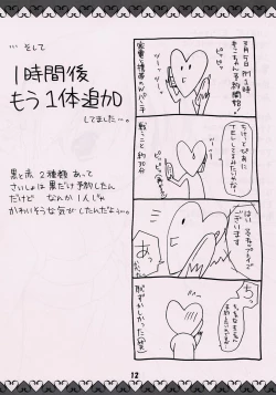 Page 11 of Moko-chan no Hon