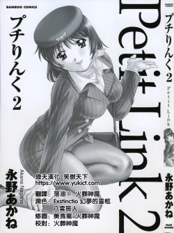 Page 3 of Petit Link 2