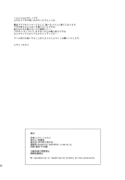 Page 25 of Meteor Swarm Eruption