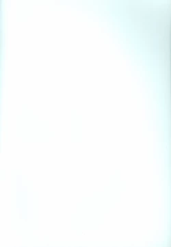 Page 3 of SanbaisokudeBatsugame