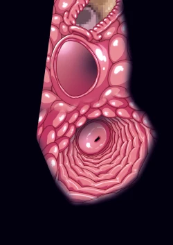 Page 205 of SECOND VIRGIN DL