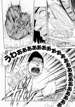 Page 241 of The Sun is Calling