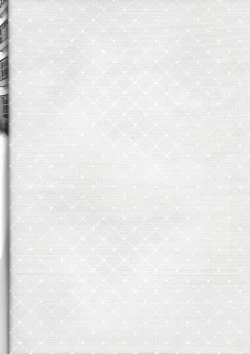 Page 3 of Nii-san MOTTO