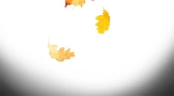 Page 347 of Coach please teach me Ch.1-16