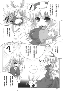 Page 19 of Touhou no Nyou no Goudou desu.