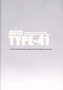 Page 22 of TYPE-41