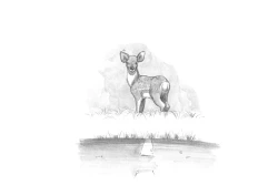 Page 240 of Mama ShotBiopanic Hen