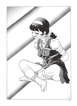 Page 29 of Omocha Hako