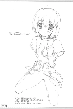 Page 13 of Kyuusai no GIFT Nano