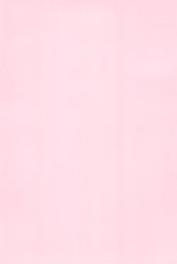 Page 4 of Meramera Dokidoki ☆ Futago to Tio