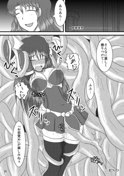 Page 25 of Shield Knight Elsain Vol.2 "Nightmare Agitator"