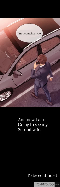 Page 15 of My Wives Ch.1-12