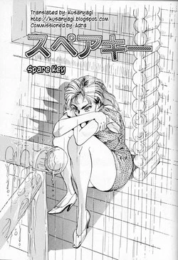 Download Spare Key 1