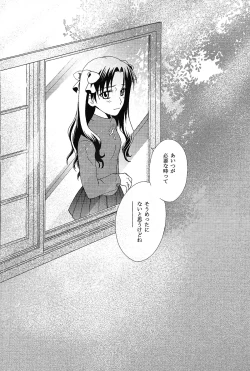 Page 41 of Promised land