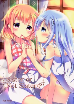 Page 2 of Sister or Not Sister??