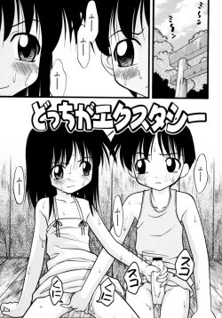 Page 19 of Meconopsis