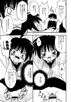 Page 41 of Meconopsis