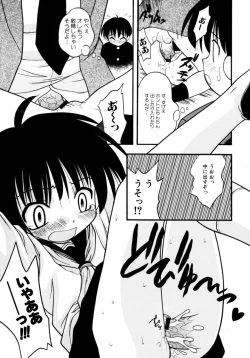 Page 43 of Meconopsis