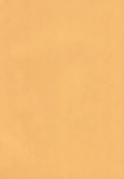 Page 2 of Ochinko Sensei