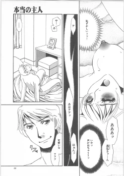 Page 13 of Hontou no shujin